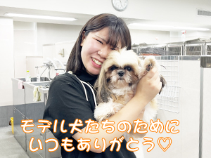 モデル犬たちのためのＷａｎ活♪